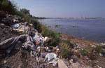 34 Industrial pollution in the Venetian lagoon