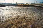 35 Water cleaning-up in Porto Marghera industrial area