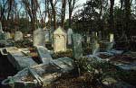 6 Venice Lido, Jewish Cemetery