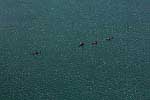 37 Venice Lagoon, 2006